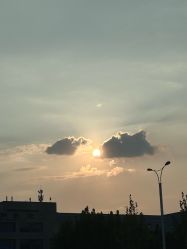 -河南省儿童医院(郑东院区)