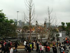 -枫香湖儿童公园