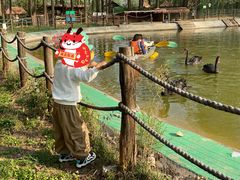 -林间山庄