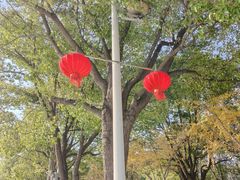 -华东政法大学(松江校区)