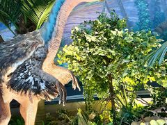 -西峡恐龙遗迹园