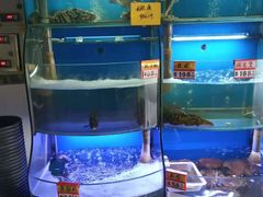 水产区-蔚海之都·象山蒸汽海鲜(仙霞路店)