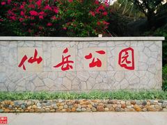 -仙岳公园