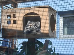 -青藏高原野生动物园