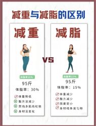 -Fundi张玉珊修身堂·indiba·BTL科技瘦身