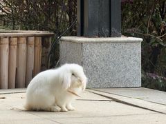 -三江森林温泉度假区