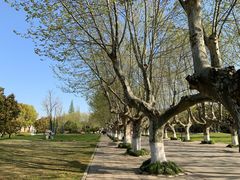 -花园茶楼(兴城西路店)