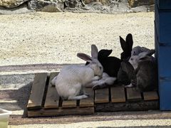 -博山九龙峪风景区