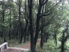-雨花胜境