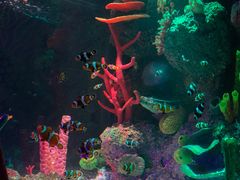 -沈阳海洋探索中心