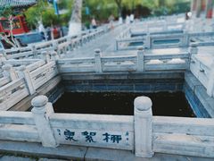 -趵突泉景区