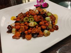 -芙蓉凰花园酒楼