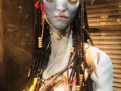 -奥兰多迪士尼动物王国乐园