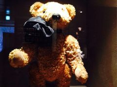 iphone_upload_pic-济州岛泰迪熊博物馆