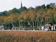 -北山街历史文化街区