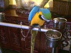 那家小馆(中关村店)-那家小馆•北京菜•烤鸭(中关村店)