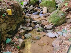 -火炉山森林公园