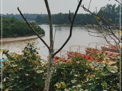 -东寨港红树林旅游区