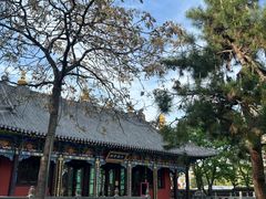 -护国法轮寺