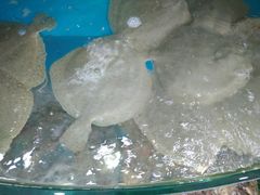 -聚德福海鲜家常菜(刘庄店)