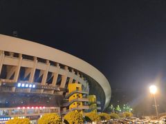 -重庆市奥林匹克体育中心-游泳跳水馆