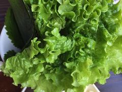 -青松大叔的店(东财店)