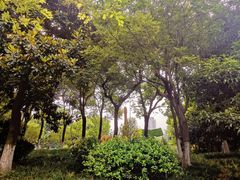 -江墅铁路遗址公园