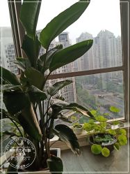-一个差评成就的纹眉店