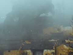 -杨家堂村