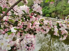 -海棠花溪(元大都城垣遗址公园)