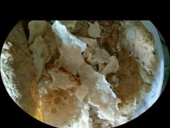 薄脆-盛扬煎饼果子(总店)