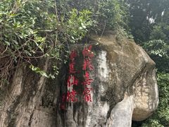-厦门悦华酒店