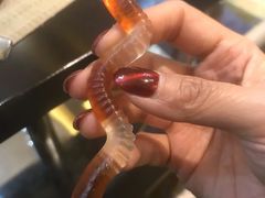 -太湖饭店玉兰厅(自助餐厅)