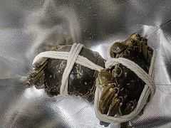 -阳澄湖大闸蟹·琼灵阁牌品牌连锁(吴中总店)