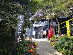 -MAMACHA妈妈茶(岳麓山店)