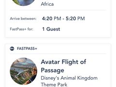 -奥兰多迪士尼动物王国乐园