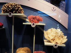 -中国湿地博物馆