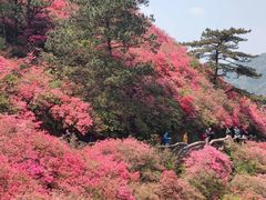 -木兰云雾山
