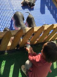 -萌宠亲子动物乐园(槐房万达店)