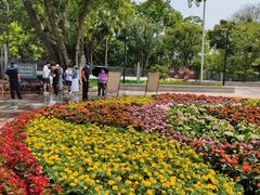 -云溪植物园