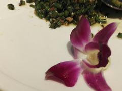 -朝郡酒家·粤菜(燕大星苑店)