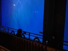 -大连圣亚海洋世界