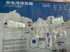 -广东惠东海龟国家级自然保护区