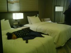 -舟山希尔顿酒店