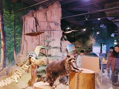 -正佳雨林生态植物园