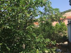 -海驴岛(荣成市)