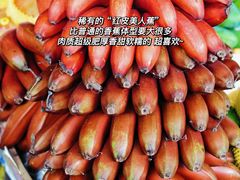 -羊栏农贸市场(羊新路店)