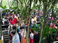 -韶山毛泽东同志故居