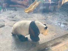 -石家庄市动物园