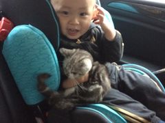 -Bastet sally猫舍购宠(静安店)